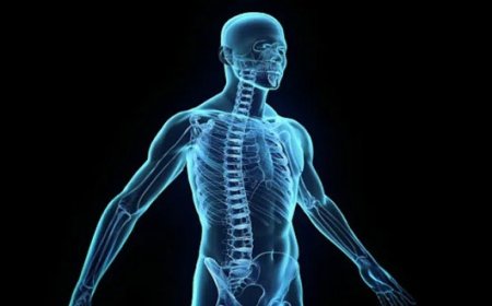 رازهای ناگشوده بدن انسان؛ از معمای چانه تا تفاوت اندازه بیضهها