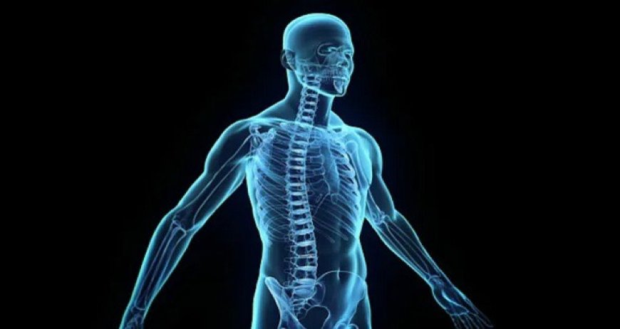 رازهای ناگشوده بدن انسان؛ از معمای چانه تا تفاوت اندازه بیضهها