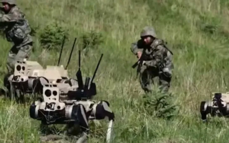 چین از ربات‌های نظامی «گرگ» با توانایی حمله دقیق و حرکت در زمین‌های سخت رونمایی کرد