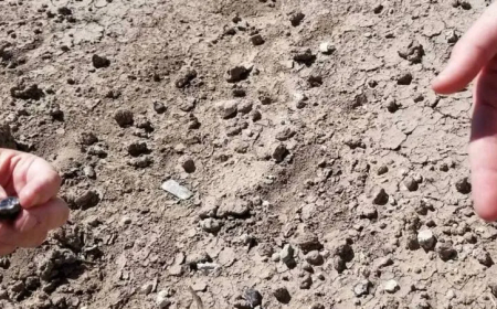 کشف شگفت‌انگیز در اتیوپی | گونه‌ای تازه از دودمان تکاملی انسان معرفی شد