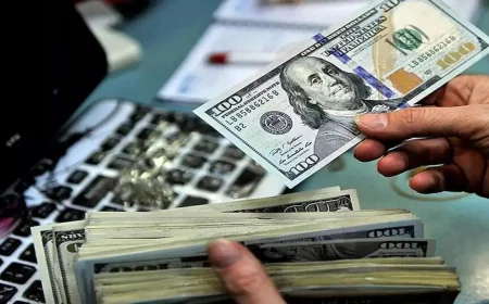 قیمت ارز امروز ۸ شهریور ۱۴۰۵؛ دلار و یورو در چه قیمتی معامله شدند؟